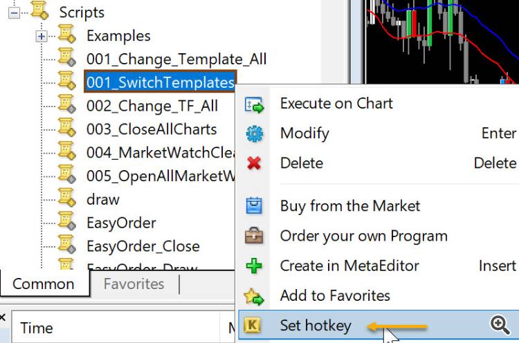Abiroid Switch Templates Script - script for MetaTrader 4