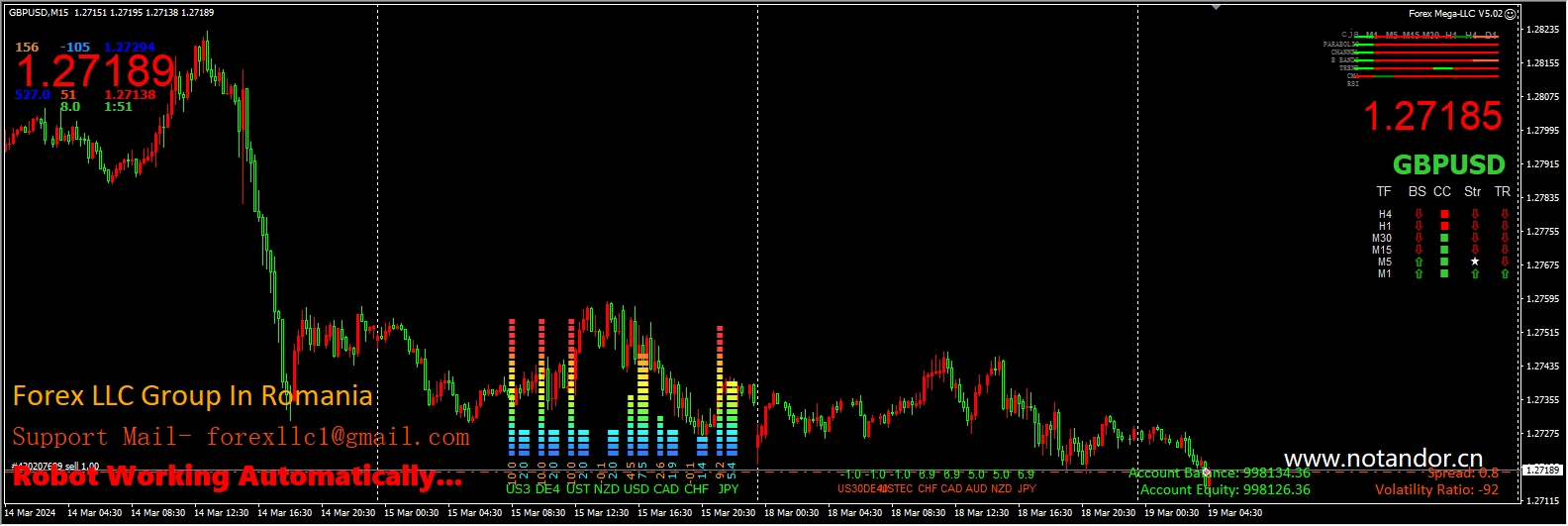 Forex Mega-LLC V5.02 screenshot