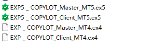 Exp MT4-MT5 COPYLOT client screenshots