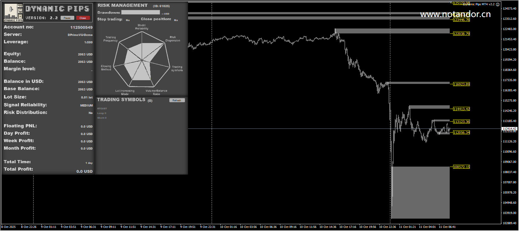 Dynamic Points MT4 v2.2 screenshot
