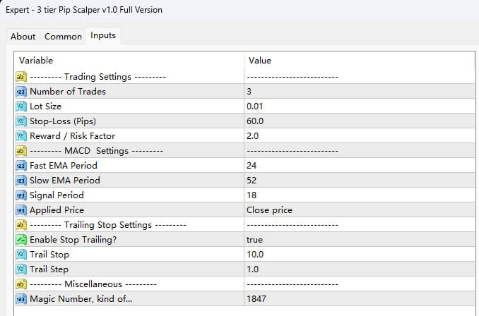 3-layer Pip Scalper v1.0 full version screenshots