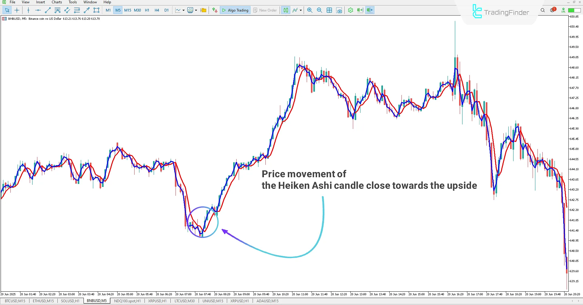 Buy signal shown in Heiken Ashi Real indicator