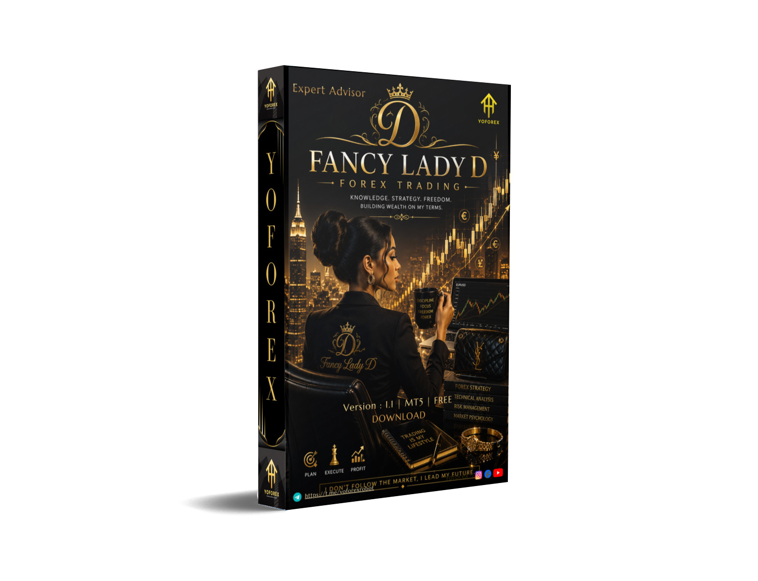 Lady Fancy D EA V1.1 MT5 Lady Fancy D EA V1.1 MT5