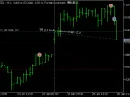ShowTradeLines Services - MetaTrader 5 Services - MT4/MT5 Resources