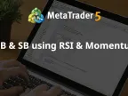 LB and SB using RSI and Momentum - MetaTrader 4 Expert - MT4/MT5 Resources