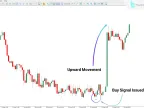 MT5 Trading Signals Indicators Download – Free | Forex Indicators Download – MetaTrader 5 Resources – MetaTrader 5 Resources