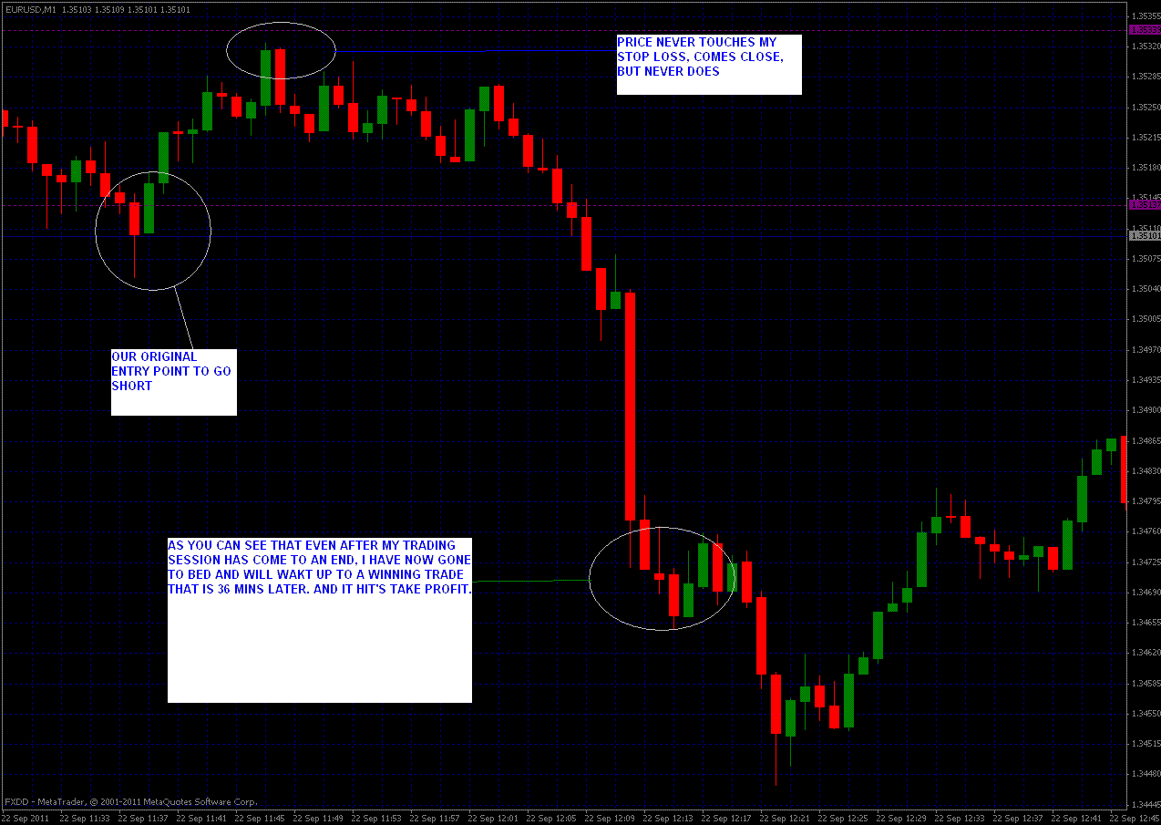 eur1.3.GIF