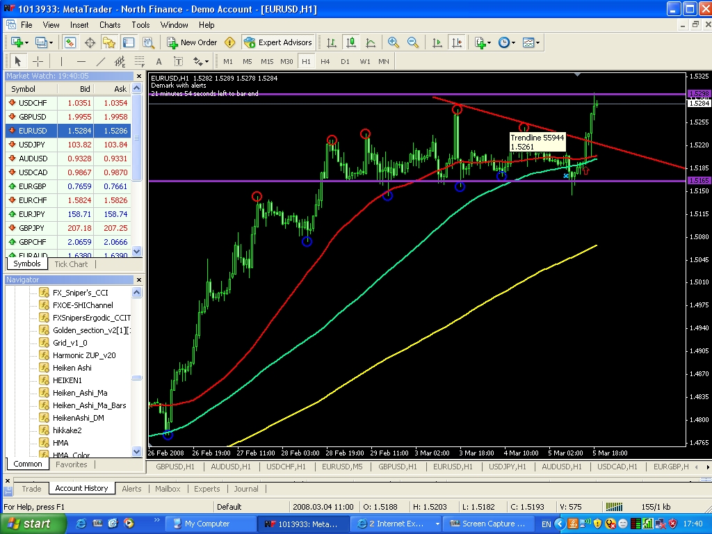 Screen Capture Professional 1.2 74.JPG