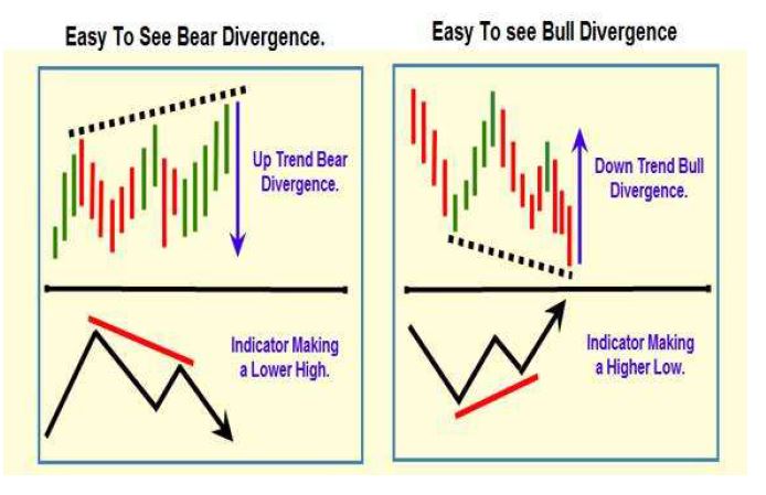 easy to see bull and bear.JPG