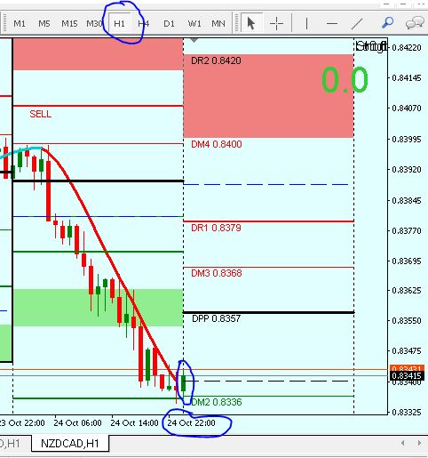 Closing Candle Bull BUY.JPG
