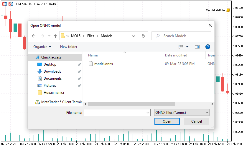 Information about the ONNX model's inputs and outputs - script for MetaTrader 5