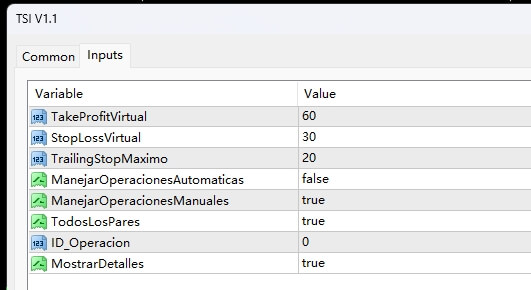 TSI V1.1 screenshot