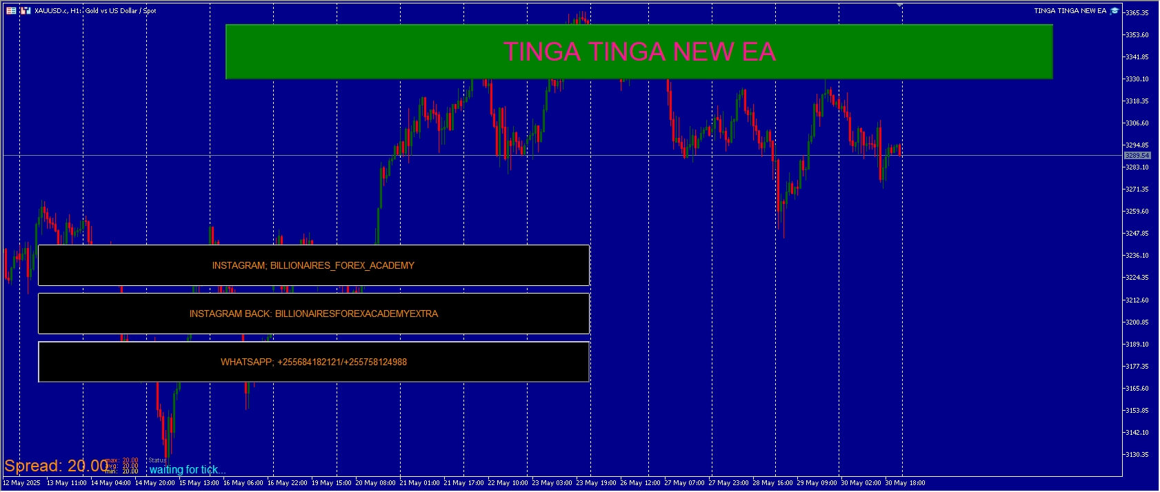 Tinga Tinga new EA screenshots