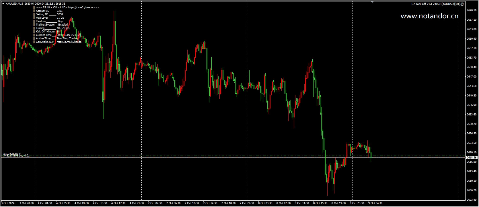 EA Launch v1.1 240601[XAUUSD][M1] Screenshot