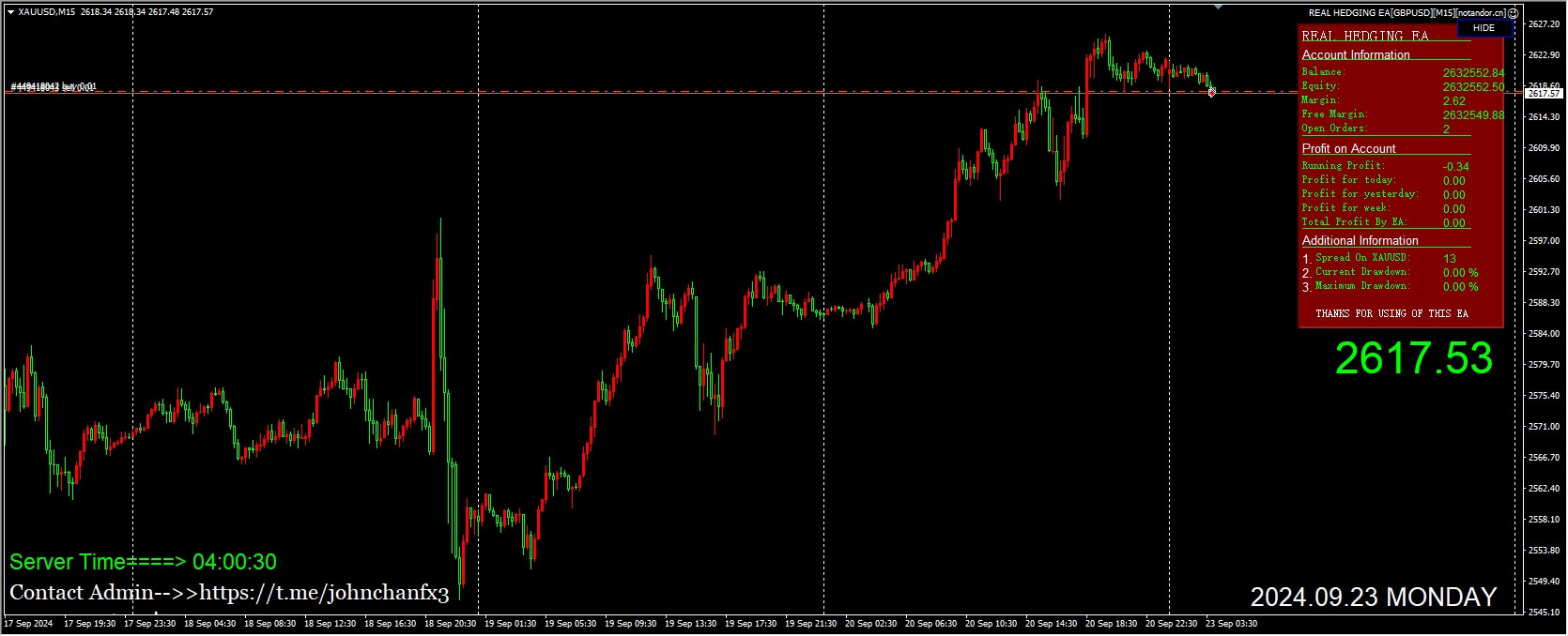Real Hedging EA v3.5 screenshot