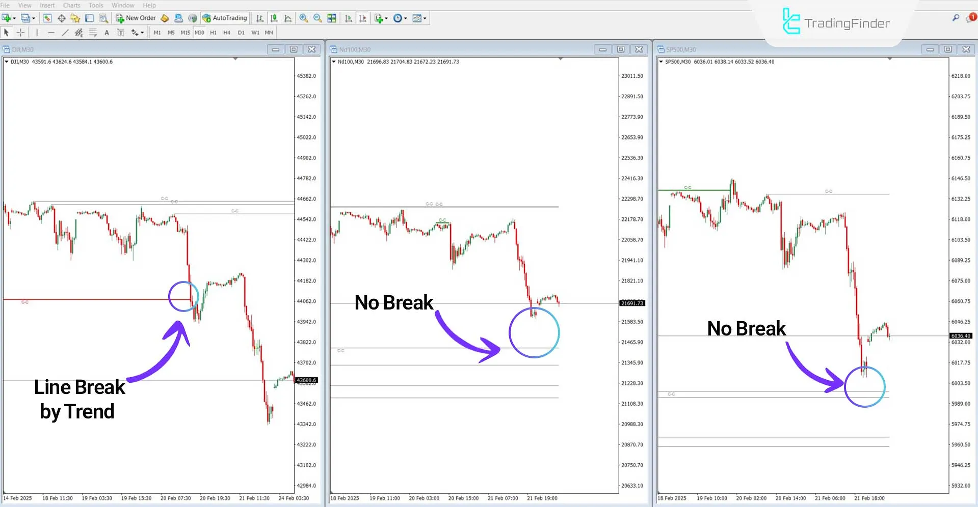 Cracking Correlation in a Bearish Trend