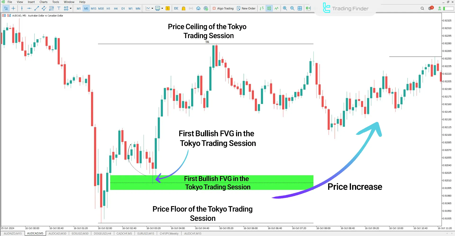 FVG Session Intraday Indicator