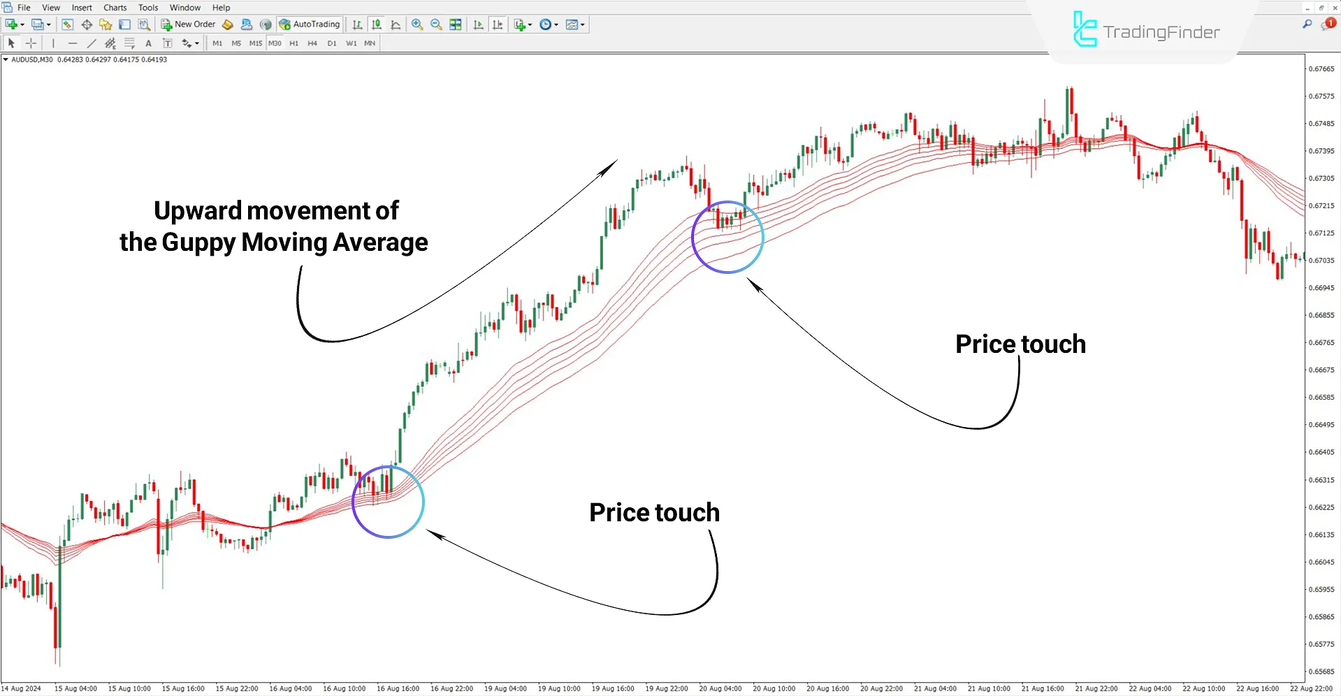 GMMA Indicator in a bullish trend