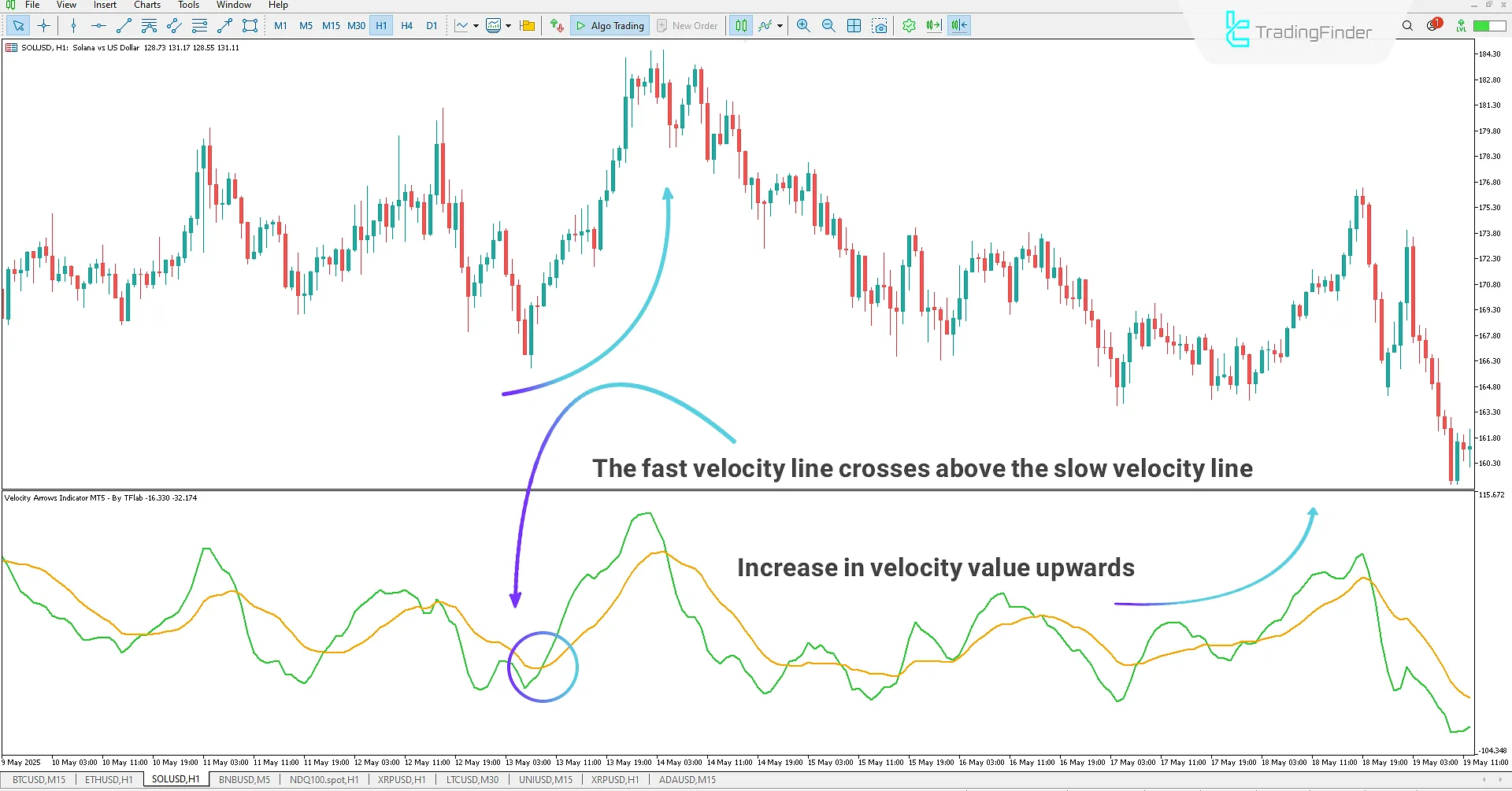 Bullish Momentum in the Velocity Arrows Indicator